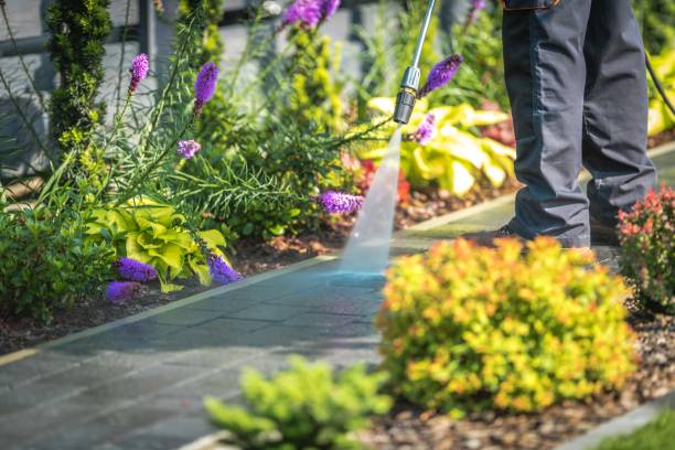 Best Dumpster Area Cleaning  in Blue Earth, MN