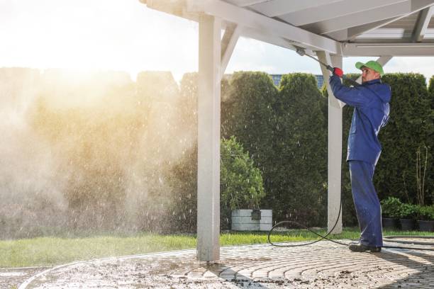Best Animal Enclosure Cleaning  in Blue Earth, MN